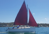 Kotare sailing on Lake Macquarie